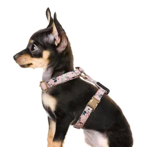 axelle floral harness - 1 large left!